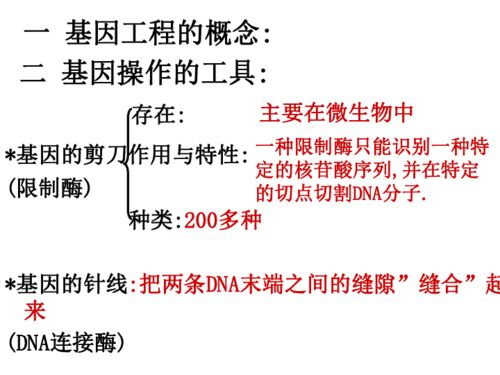 基因工程 探索生命密码的前沿科学