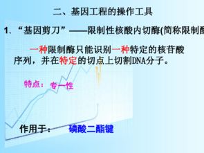 基因工程的奥妙 从课本人教版必修二到应用实践