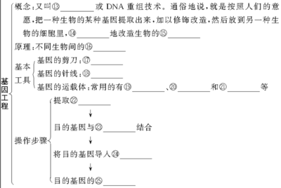 高中生物 第3讲从杂交育种到基因工程