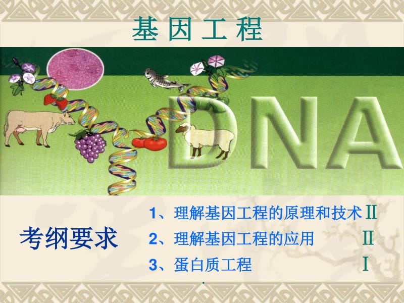 基因工程与蛋白质工程讲稿ppt正式