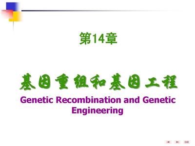 第14章基因重组和基因工程
