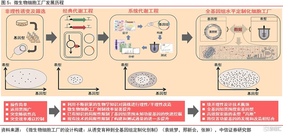 合成生物乘势而起，颠覆传统引领未来——基因工程如何改写能源化工版图
